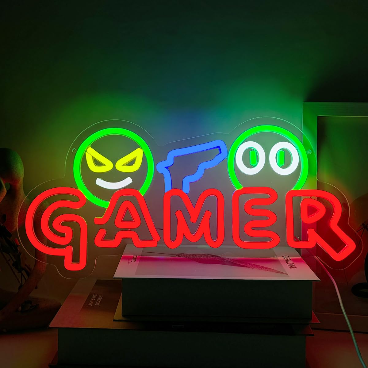 Gamer Neon Sign LED Wall Light - Lighting Christmas Decor review and price