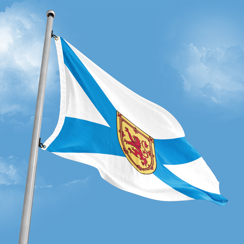 Canada Flag of Nova Scotia 3ft - Nova Decor & Lighting Vase review and price