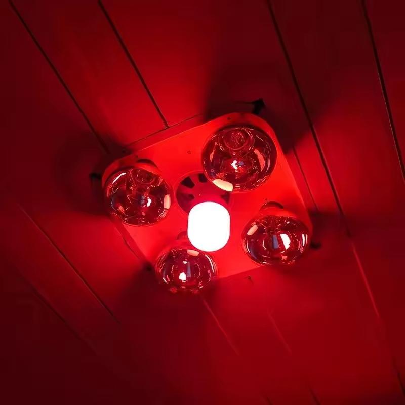New High Power Red LED Light B - Lighting Christmas Decor review and price