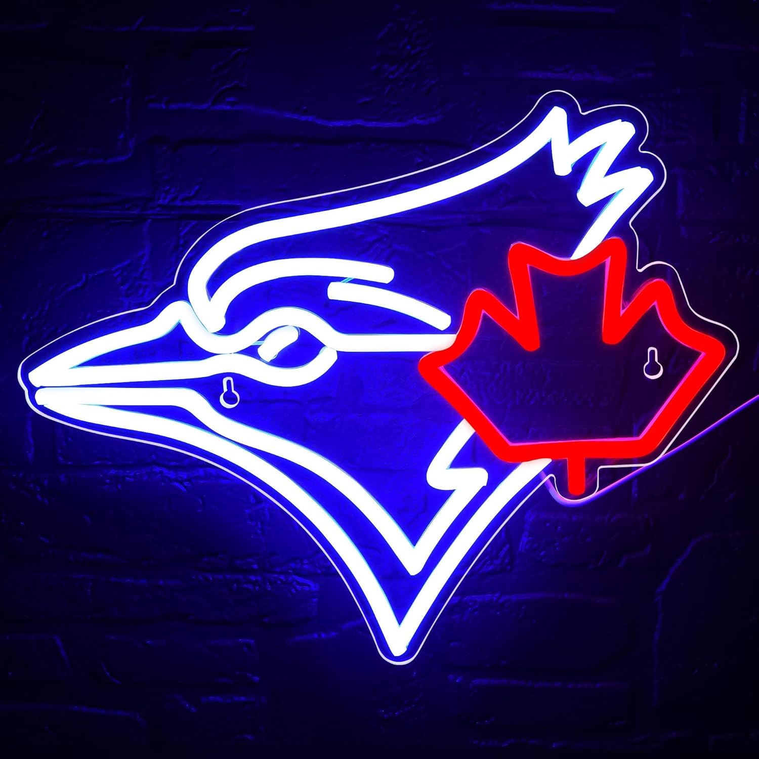 USB Dimmable Blue Jay with Map - Jay Lighting Decor review and price
