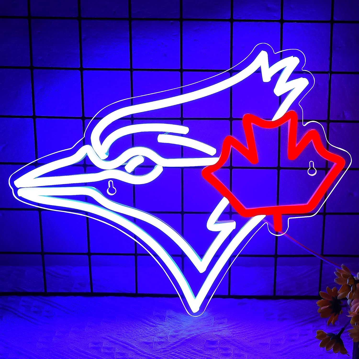 USB Dimmable Blue Jay with Map - Jay Lighting Decor review and price